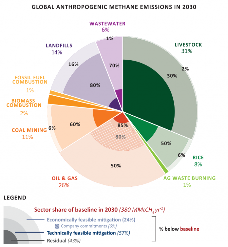 Global Anthropogenic Methane Emissions in 2030